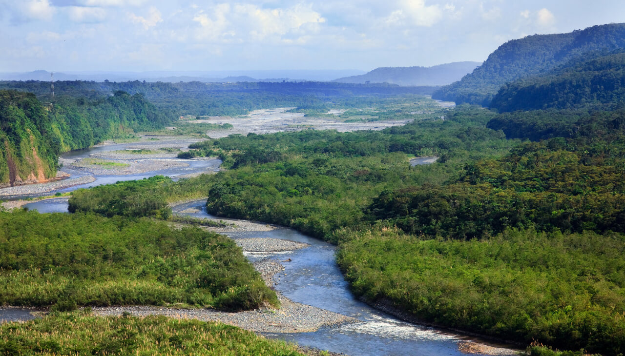 Numérisation d’archives en pleine jungle : la mission impossible d’AGS Records Management en Guyane française