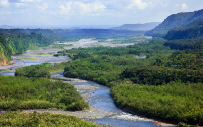 Numérisation d&rsquo;archives : la mission impossible d&rsquo;AGS Records Management en Guyane française